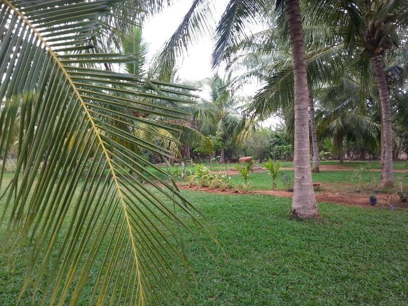 Serenity Lake Resort Yala Tissamaharama Eksteriør billede