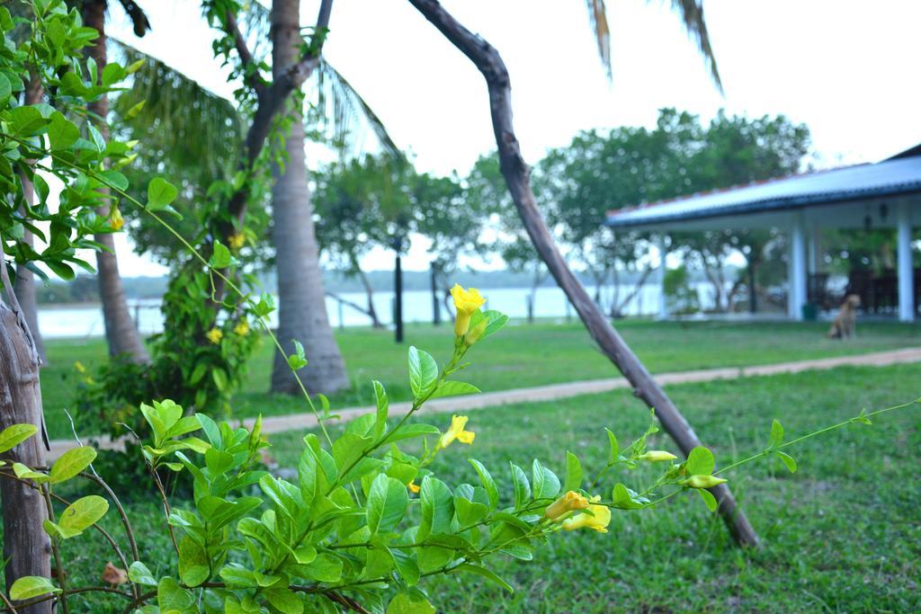 Serenity Lake Resort Yala Tissamaharama Eksteriør billede
