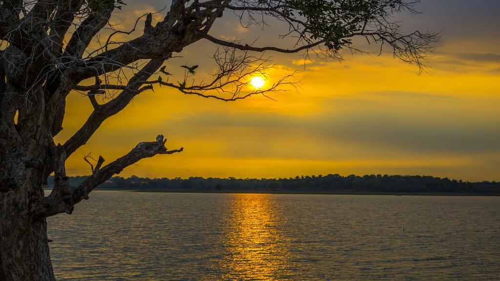 Serenity Lake Resort Yala Tissamaharama Eksteriør billede