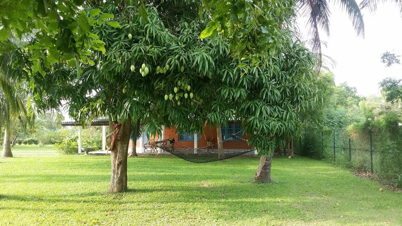 Serenity Lake Resort Yala Tissamaharama Eksteriør billede